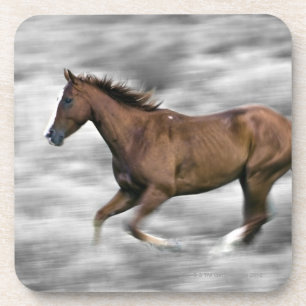 Running horse coaster