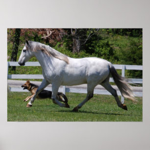 RUNNING HORSE & DOG POSTER