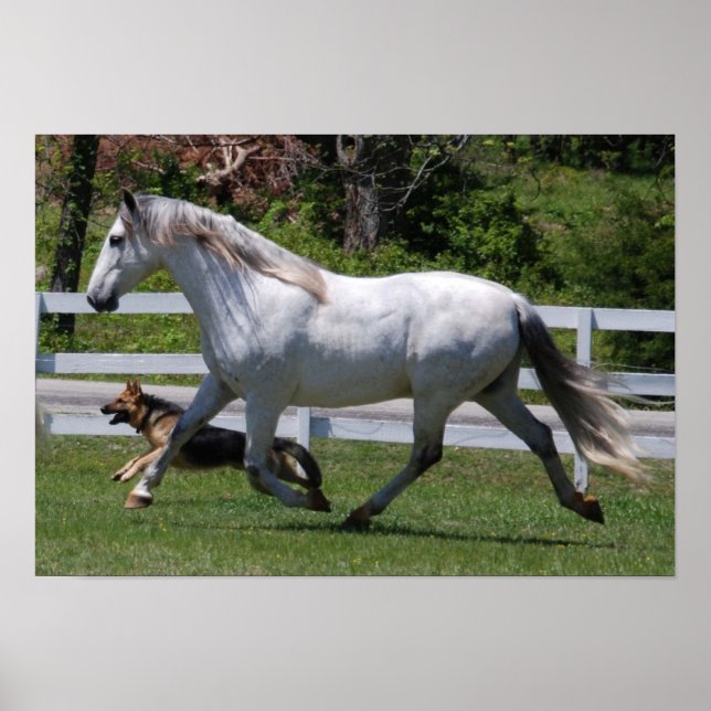 RUNNING HORSE & DOG POSTER (Front)