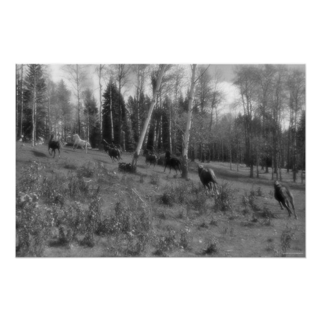 Running Horse Herd, Ranch Pasture Equine B&W Photo Poster (Front)
