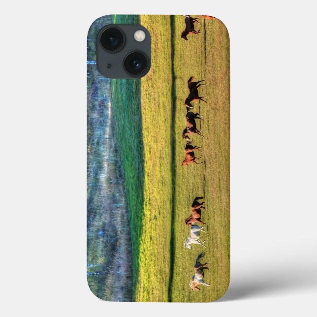 Running Horse Herd & Ranch Pasture Equine Photo 2 Case-Mate iPhone Case (Back)