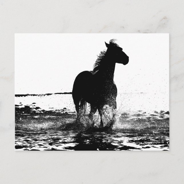 Running Horse Modern Black & White Pop Art Picture Postcard (Front)