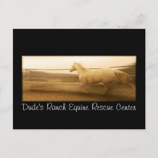 Running horse post card