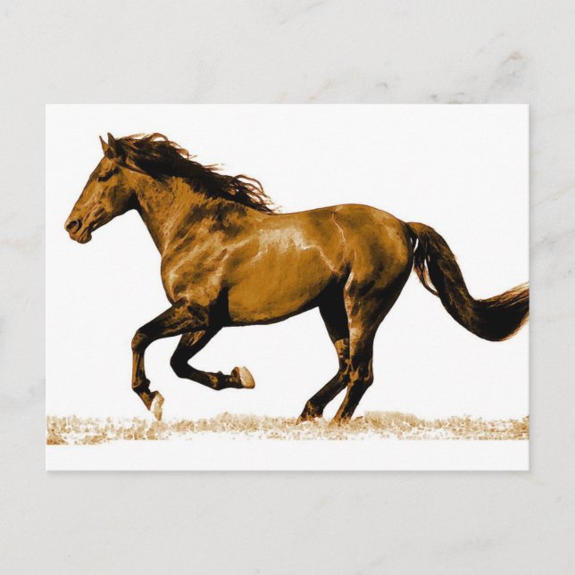Running Horse Postcard (Front)