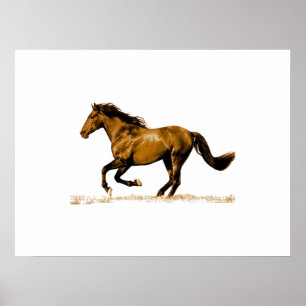 Running Horse Poster