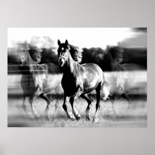 Running Horse Poster Print - B&W Horse Posters