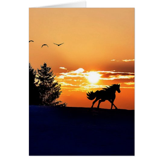 running horse - sunset horse - horse card