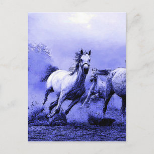 Running Horses & Blue Moonlight Postcard