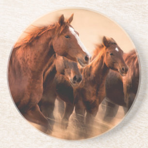 Running horses, blur and flying manes coaster
