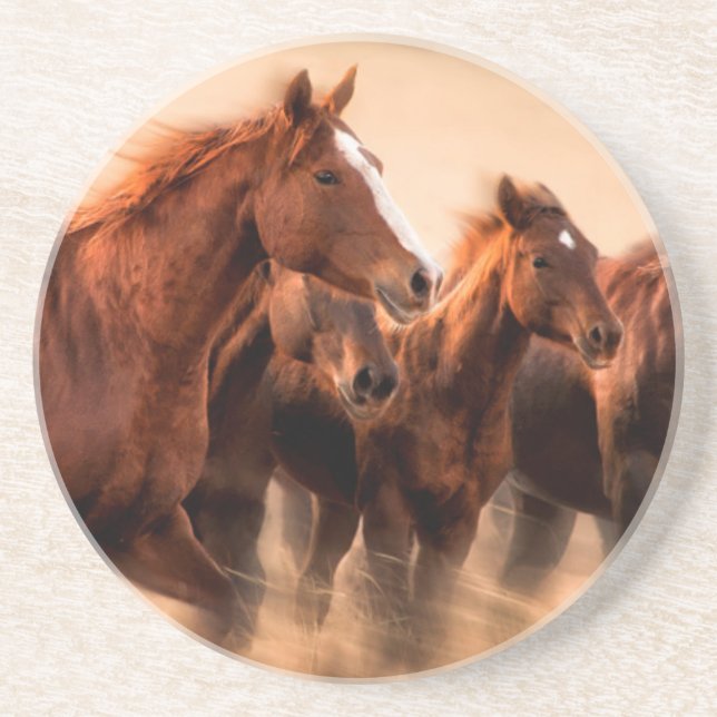 Running horses, blur and flying manes coaster (Front)