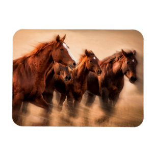 Running horses, blur and flying manes magnet