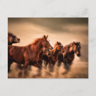 Running horses, blur and flying manes postcard