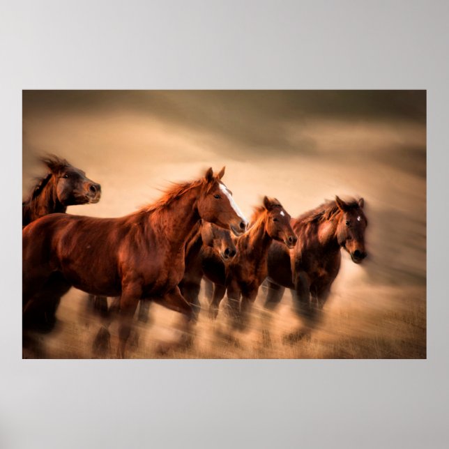 Running horses, blur and flying manes poster (Front)