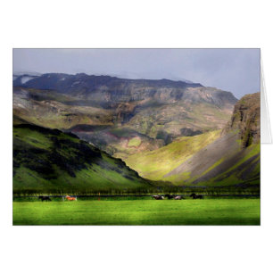Running Horses Iceland