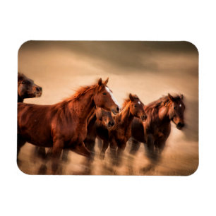 Running Horses Magnet