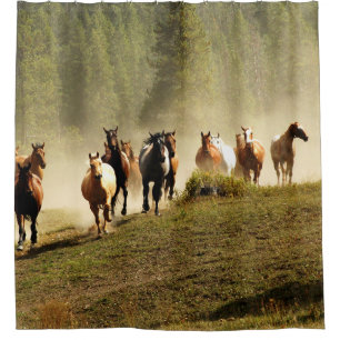 Running horses on Montana ranch