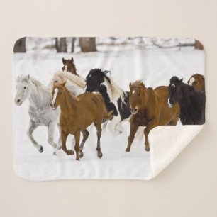 Running Horses on The Hideout Ranch Sherpa Blanket