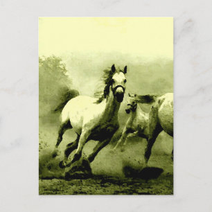 Running Horses Postcard