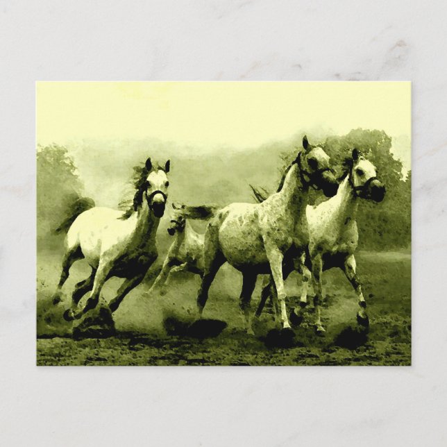 Running Horses Postcard (Front)