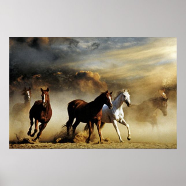 Running Horses Poster (Front)