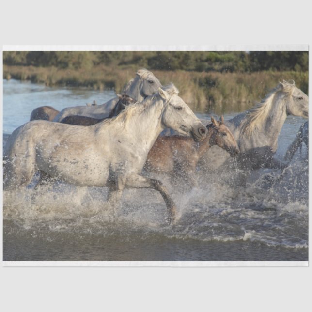 running horses tissue paper (Front)