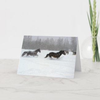 Running in the snow card