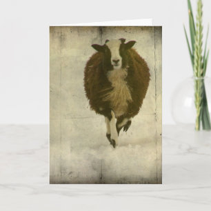 Running Lambchops Card