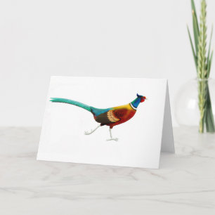 Running Male Ringneck Pheasant Card