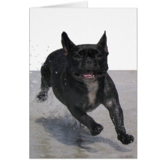 Running on the Beach, Paris Merille