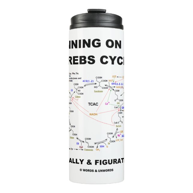 Running On The Krebs Cycle Biochemistry Geek Humou Thermal Tumbler (Front)