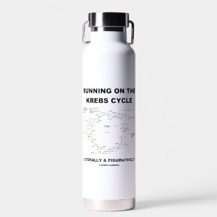 Running On The Krebs Cycle Biochemistry Geek Humou Water Bottle