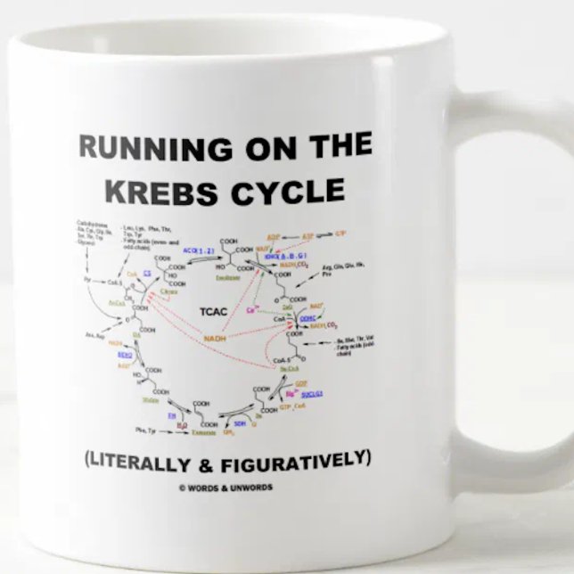 Running On The Krebs Cycle (Science Humour) Coffee Mug (Biochemistry attitude mug for anyone who runs on the Krebs cycle (literally & figuratively)!)