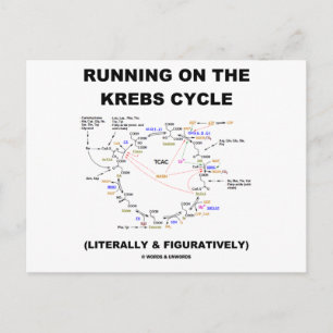 Running On The Krebs Cycle (Science Humour) Postcard