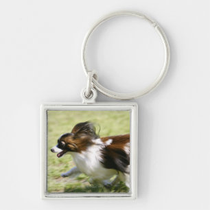 Running Papillon Keychain