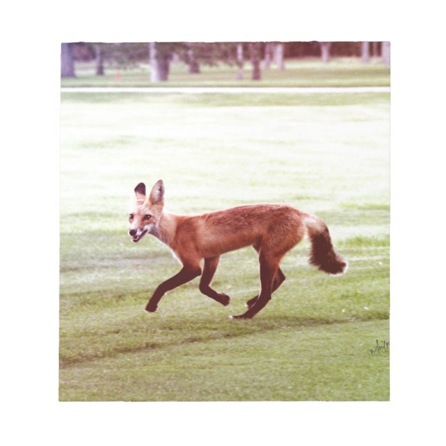 running red fox photograph notepad (Front)