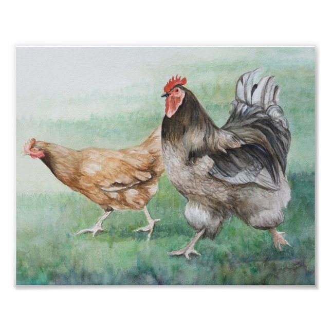 Running Rooster & Hen Photo Print (Front)