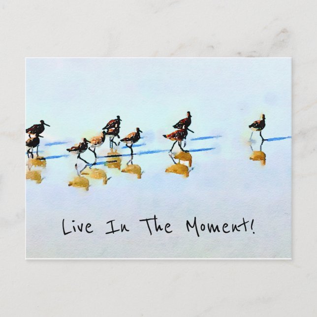 Running Sandpipers on Hilton Head Beach Postcard (Front)