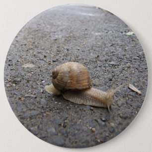 Running Snail 6 Inch Round Button