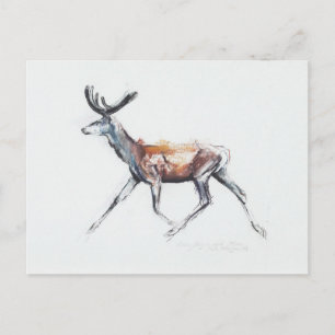 Running Stag in velvet Polsen 2006 Postcard