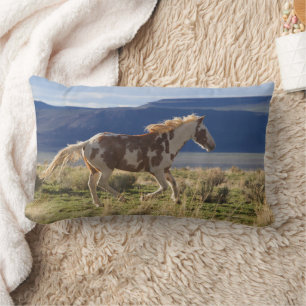 Running Stallion, Steens Mountains, Oregon Lumbar Pillow