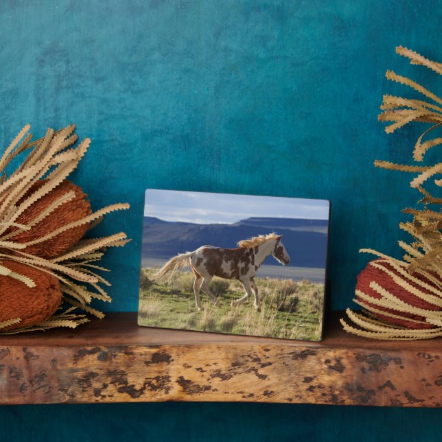 Running Stallion, Steens Mountains, Oregon Plaque (Side)