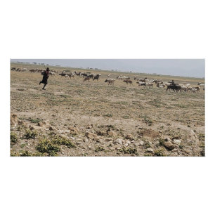 Running the Serengeti Poster