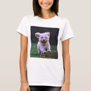 Running White Poodle Cute Dog T-Shirt