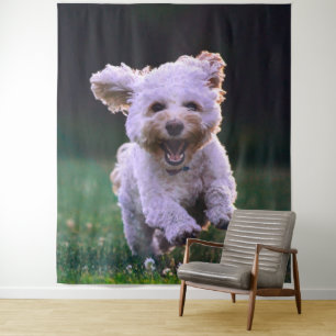 Running White Poodle Cute Dog Tapestry