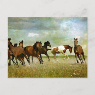 Running Wild Horses - Vintage Creative Art Postcard