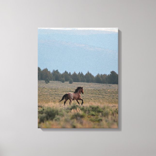 Running Wild Roan Canvas Print (Front)