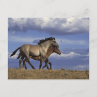 Running Yearlings