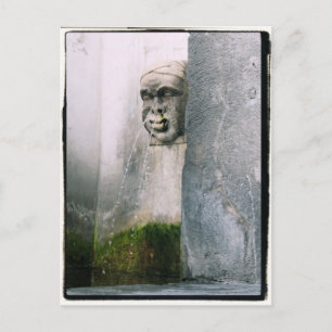 Runny Nose? Fountain in Verona, Italy Postcard