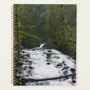 Runoff from Bridal Veil Falls