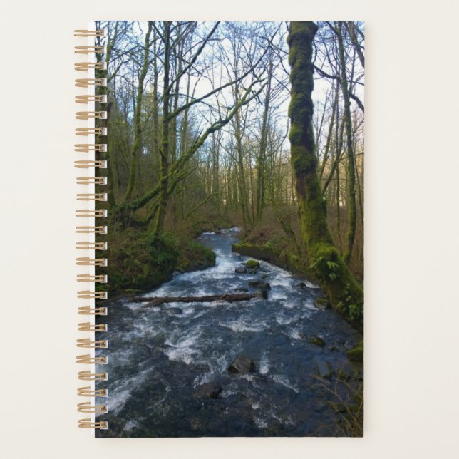 Runoff from Bridal Veil Falls (Devant)